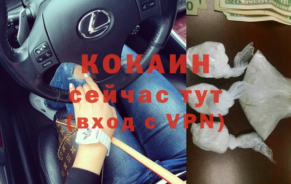 дживик Бородино