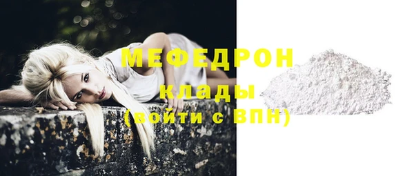 дживик Бородино