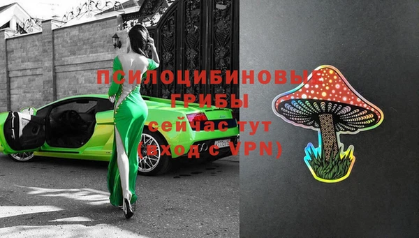 сатива Бронницы