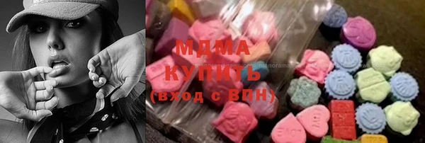 дживик Бородино
