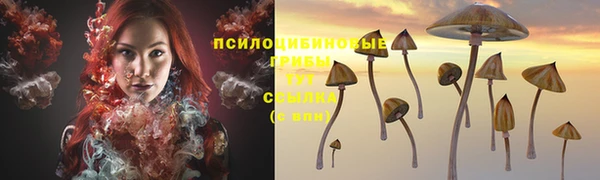 дживик Бородино