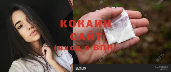 сатива Бронницы