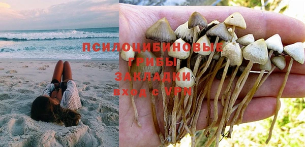 дживик Бородино