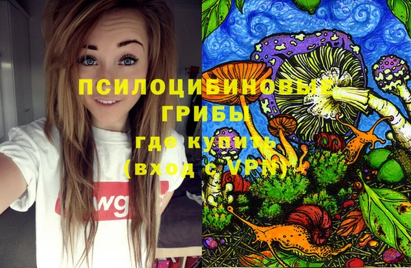 дживик Бородино