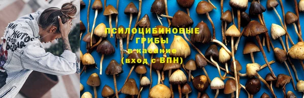 сатива Бронницы