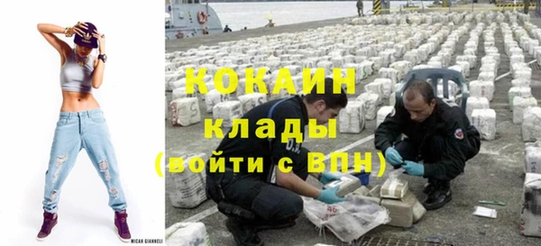 сатива Бронницы