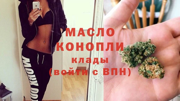 дживик Бородино