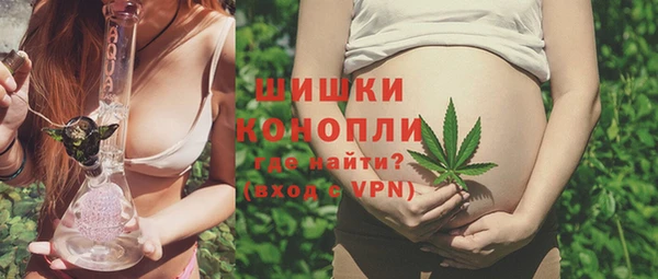 дживик Бородино