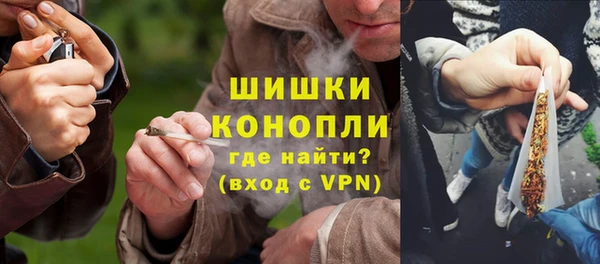 сатива Бронницы