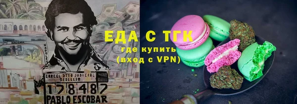дживик Бородино
