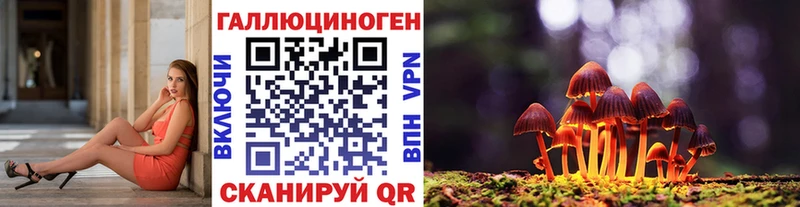 Купить закладки  Таруса  Псилоцибиновые грибы MAGIC MUSHROOMS 
